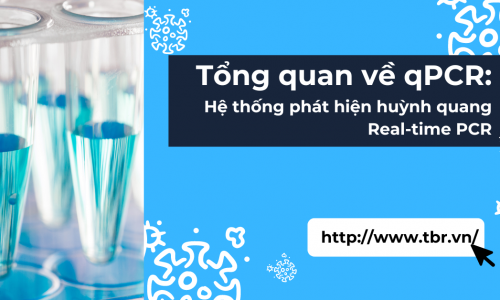 Tổng quan về qPCR: Hệ thống phát hiện huỳnh quang Real-time...