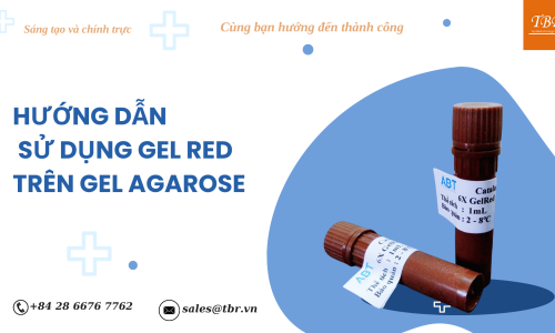 HƯỚNG DẪN SỬ DỤNG GELRED TRÊN GEL AGAROSE