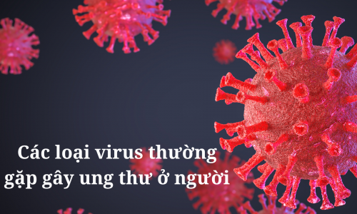 Các loại virus thường gặp gây ung thư ở người