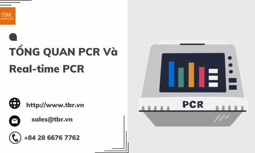 TỔNG QUAN VỀ PCR và Real-time PCR