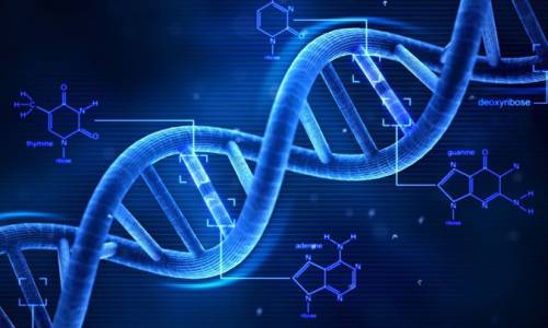 Giải trình tự ADN