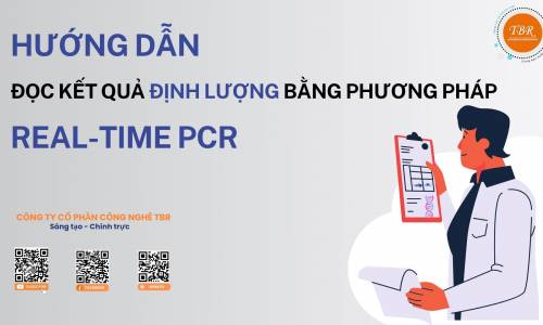 HƯỚNG DẪN ĐỌC KẾT QUẢ ĐỊNH LƯỢNG BẰNG PHƯƠNG PHÁP REAL-TIME...